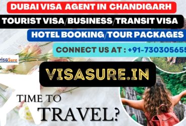 Dubai Visa Consultant In Chandigarh  7303056551