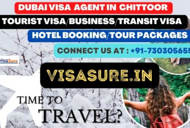 Dubai Visa Consultant In Chittoor  7303056551