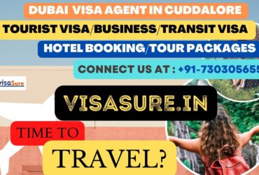 Dubai Visa Consultant In Cuddalore  7303056551