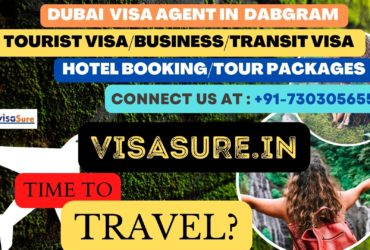 Dubai Visa Consultant In Dabgram   7303056551