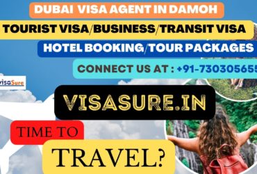 Dubai Visa Consultant In Damoh  7303056551