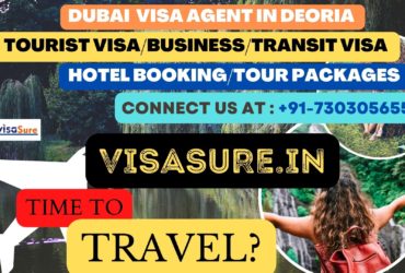 Dubai Visa Consultant In Deoria   7303056551