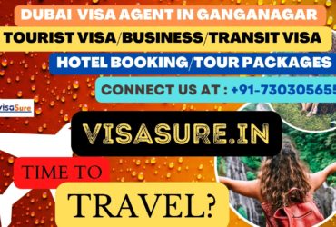 Dubai Visa Consultant In Ganganagar  7303056551