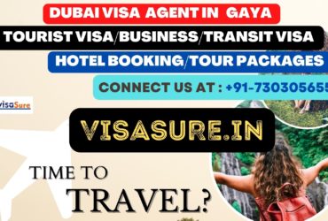 Dubai Visa Consultant In Gaya  7303056551