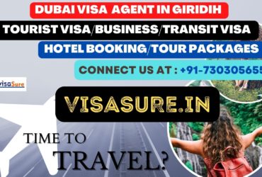 Dubai Visa Consultant In Giridih   7303056551