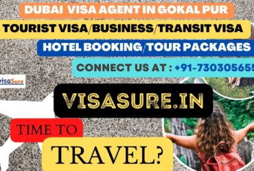 Dubai Visa Consultant In Gokal Pur  7303056551