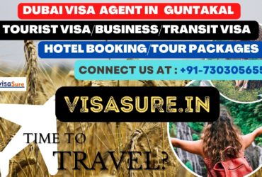 Dubai Visa Consultant In Guntakal  7303056551