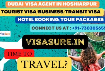 Dubai Visa Consultant In Hoshiarpur  7303056551