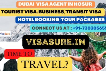 Dubai Visa Consultant In Hosur   7303056551