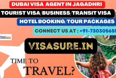 Dubai Visa Consultant In Jagadhri  7303056551