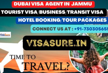 ubai Visa Consultant In Jammu  7303056551