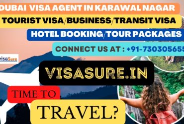 Dubai Visa Consultant In Karawal Nagar  7303056551