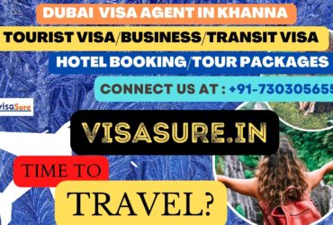 Dubai Visa Consultant In Khanna  7303056551