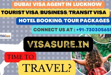 Dubai Visa Consultant In Lucknow    7303056551