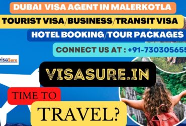 Dubai Visa Consultant In Malerkotla  7303056551