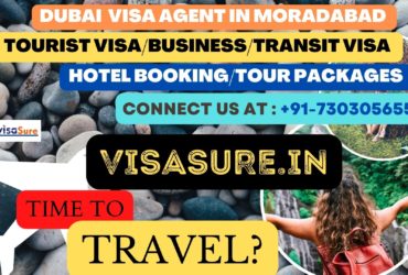 Dubai Visa Consultant In Moradabad   7303056551