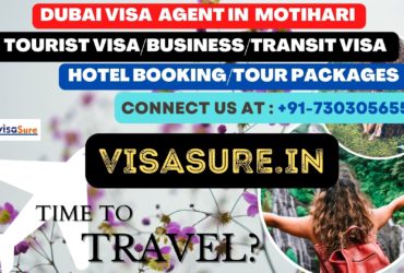 Dubai Visa Consultant In Motihari   7303056551