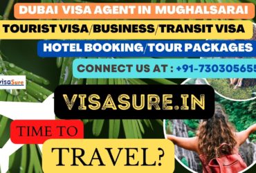 Dubai Visa Consultant In Mughalsarai  7303056551