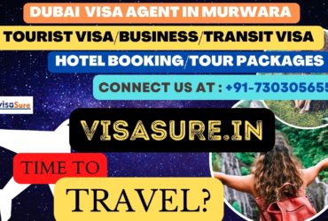 Dubai Visa Consultant In Murwara  7303056551