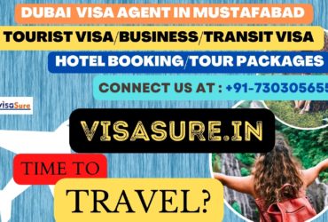 Dubai Visa Consultant In Mustafabad  7303056551