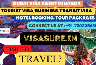 Dubai Visa Consultant In Nagda  7303056551