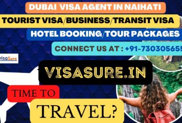 Dubai Visa Consultant In Naihati  7303056551