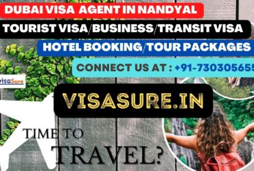 Dubai Visa Consultant In Nandyal  7303056551