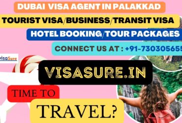 Dubai Visa Consultant In Palakkad  7303056551