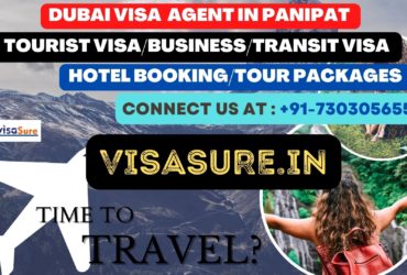 Dubai Visa Consultant In Panipat  7303056551