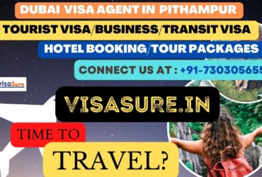 Dubai Visa Consultant In Pithampur  7303056551