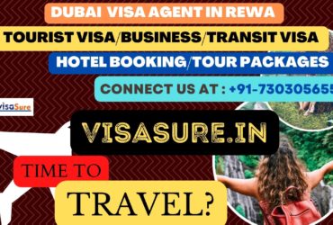 Dubai Visa Consultant In Rewa  7303056551