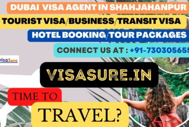 Dubai Visa Consultant In Shahjahanpur   7303056551