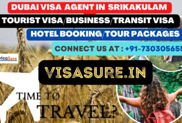 Dubai Visa Consultant In Srikakulam  7303056551