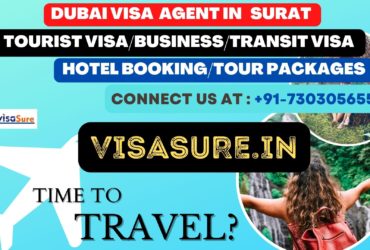 Dubai Visa Consultant In Surat  7303056551