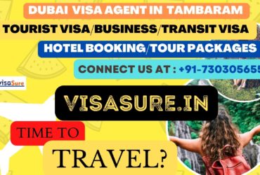 Dubai Visa Consultant In Tambaram  7303056551