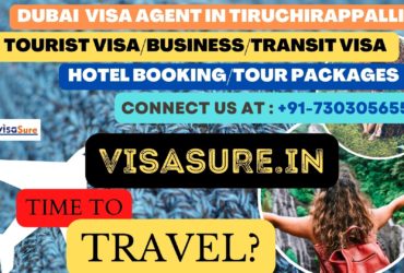 Dubai Visa Consultant In Tiruchirappalli  7303056551