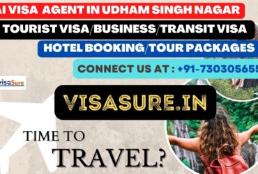 Dubai Visa Consultant In Udham Singh Nagar 7303056551