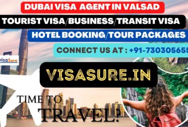 Dubai Visa Consultant In Valsad  7303056551