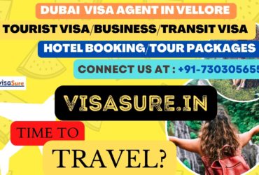 Dubai Visa Consultant In Vellore  7303056551