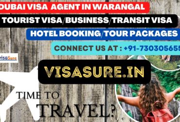 Dubai Visa Consultant In Warangal  7303056551