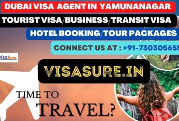 Dubai Visa Consultant In Yamunanagar  7303056551